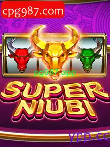 SuperNiubi